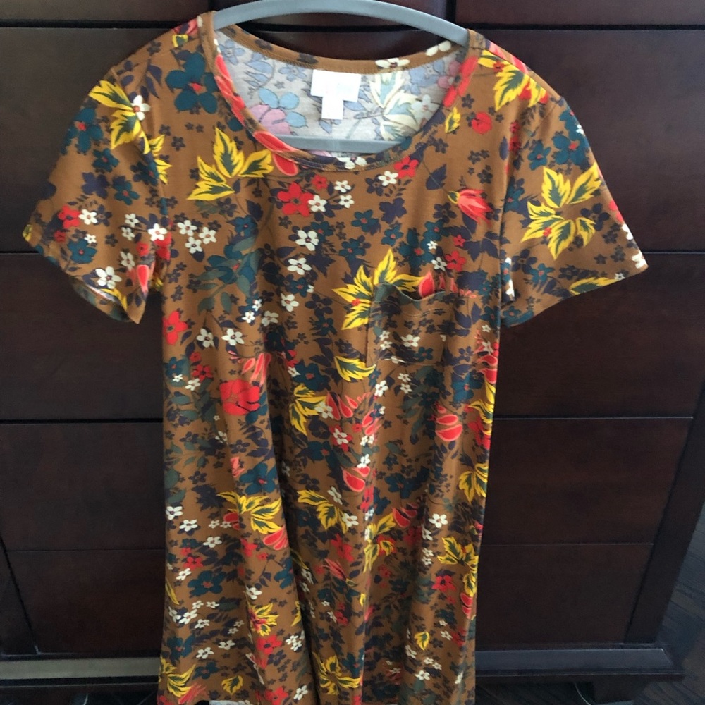 Xxs LuLaRoe Carly dress